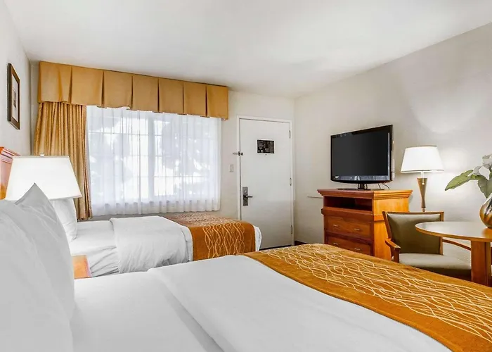 The Inn At 1252 Monterey